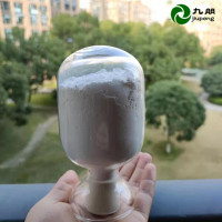 陶瓷 催化剂   15纳米氢氧化铝粉 CY-LH20